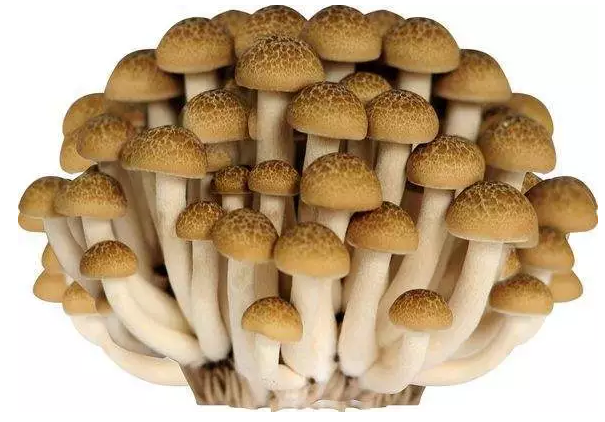 http://www.yddlt.cn/ewebeditor/uploadfile/20170914091421667001.png