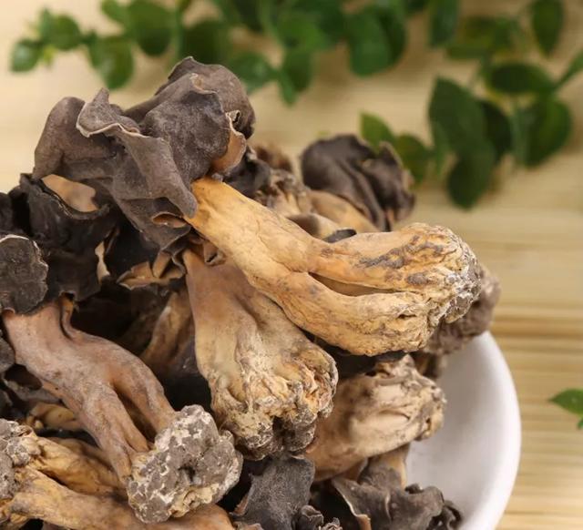 國(guó)家蘑菇地理：中國(guó)哪里的蘑菇最好吃？